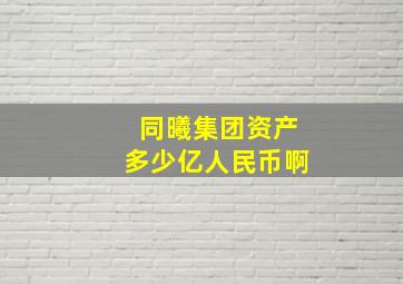 同曦集团资产多少亿人民币啊