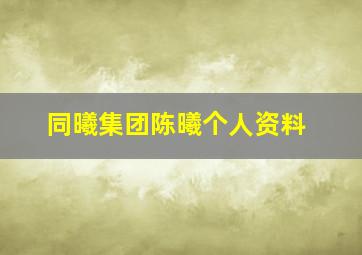 同曦集团陈曦个人资料