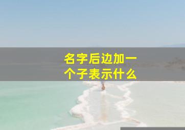 名字后边加一个子表示什么