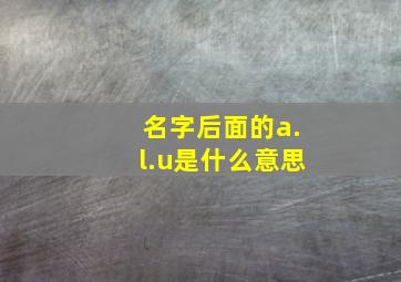 名字后面的a.l.u是什么意思