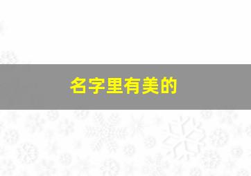 名字里有美的