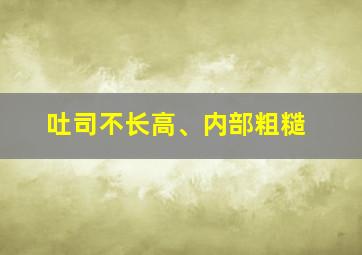 吐司不长高、内部粗糙