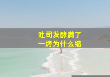 吐司发酵满了一烤为什么缩