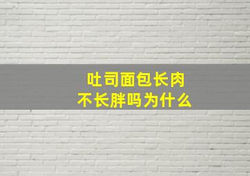 吐司面包长肉不长胖吗为什么