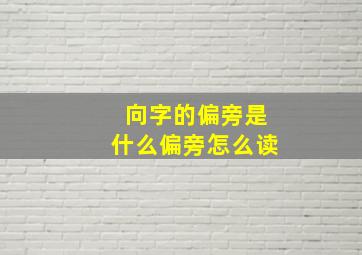 向字的偏旁是什么偏旁怎么读