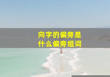 向字的偏旁是什么偏旁组词