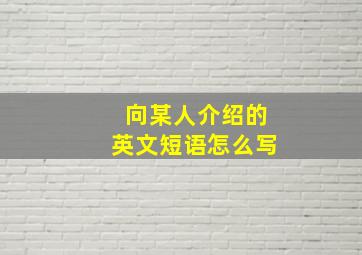 向某人介绍的英文短语怎么写