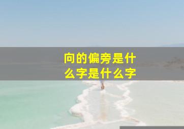 向的偏旁是什么字是什么字