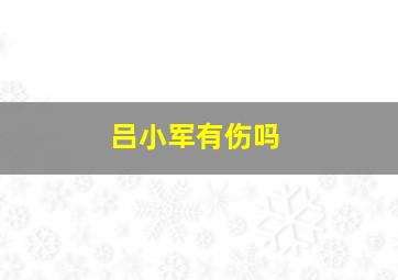 吕小军有伤吗