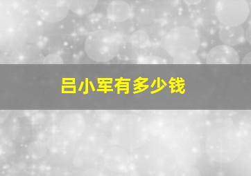 吕小军有多少钱