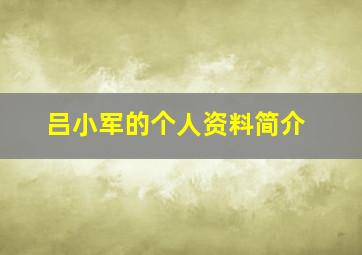 吕小军的个人资料简介