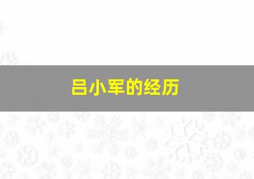 吕小军的经历