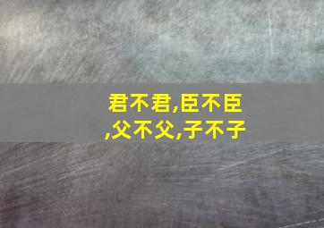 君不君,臣不臣,父不父,子不子