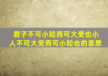 君子不可小知而可大受也小人不可大受而可小知也的意思