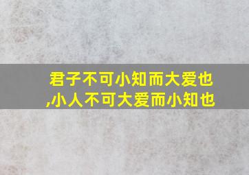 君子不可小知而大爱也,小人不可大爱而小知也