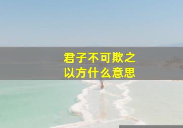 君子不可欺之以方什么意思