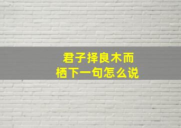 君子择良木而栖下一句怎么说