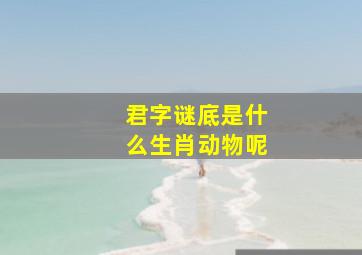 君字谜底是什么生肖动物呢