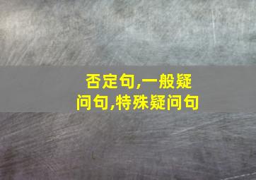 否定句,一般疑问句,特殊疑问句