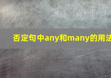 否定句中any和many的用法