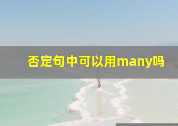 否定句中可以用many吗