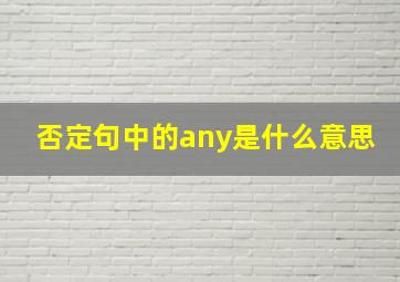 否定句中的any是什么意思