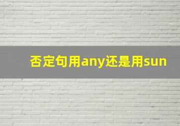 否定句用any还是用sun