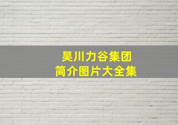 吴川力谷集团简介图片大全集