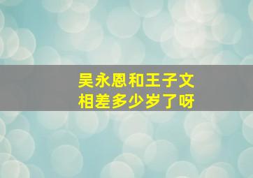 吴永恩和王子文相差多少岁了呀