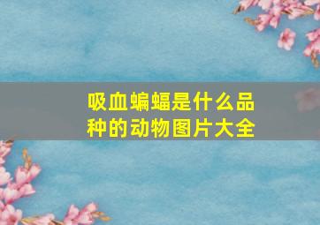 吸血蝙蝠是什么品种的动物图片大全