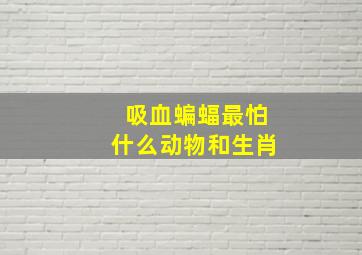 吸血蝙蝠最怕什么动物和生肖