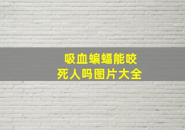 吸血蝙蝠能咬死人吗图片大全