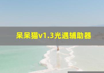 呆呆猫v1.3光遇辅助器