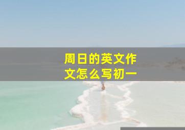 周日的英文作文怎么写初一