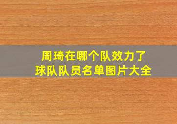 周琦在哪个队效力了球队队员名单图片大全