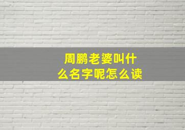 周鹏老婆叫什么名字呢怎么读