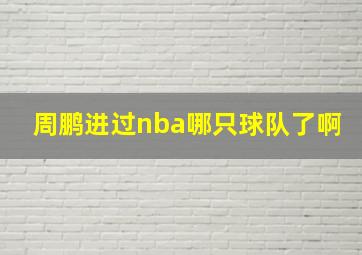 周鹏进过nba哪只球队了啊