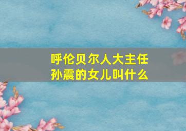 呼伦贝尔人大主任孙震的女儿叫什么