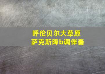 呼伦贝尔大草原萨克斯降b调伴奏