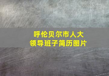 呼伦贝尔市人大领导班子简历图片