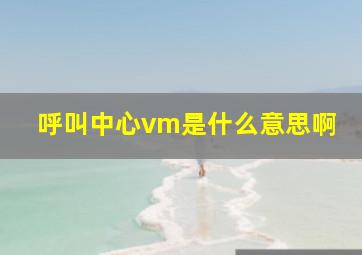 呼叫中心vm是什么意思啊