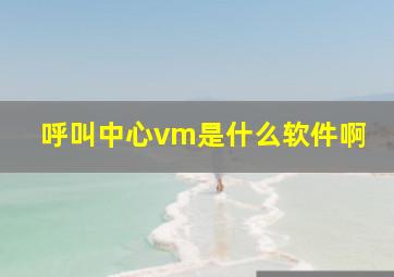 呼叫中心vm是什么软件啊