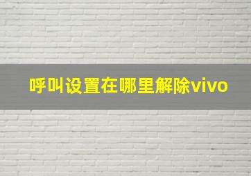 呼叫设置在哪里解除vivo