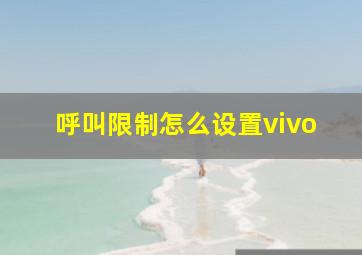 呼叫限制怎么设置vivo