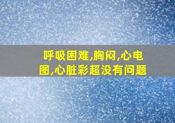 呼吸困难,胸闷,心电图,心脏彩超没有问题