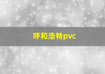 呼和浩特pvc