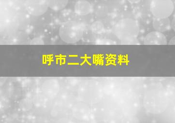 呼市二大嘴资料