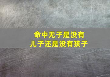 命中无子是没有儿子还是没有孩子