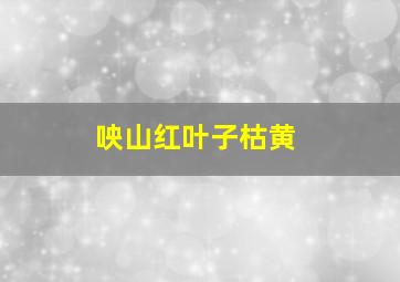 咉山红叶子枯黄