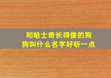 和哈士奇长得像的狗狗叫什么名字好听一点